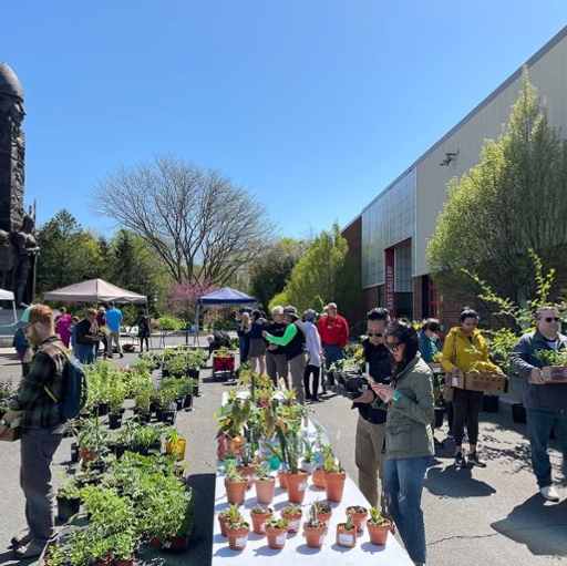 From Our Grounds To Yours: GFS Plant Sale