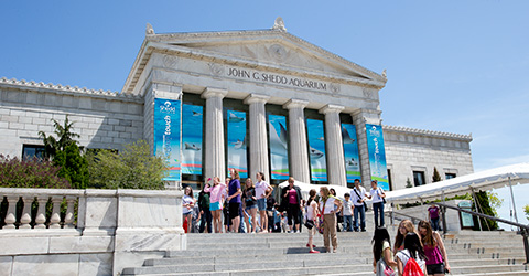 Shedd Aquarium