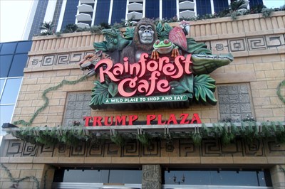 Rainforest Cafe